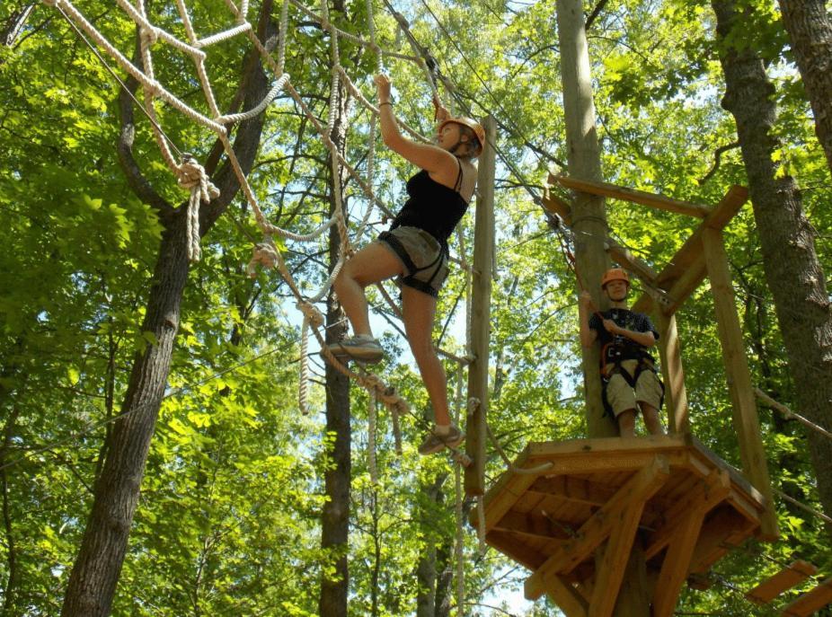 Campsite Wilderness Presidential Spotsylvania