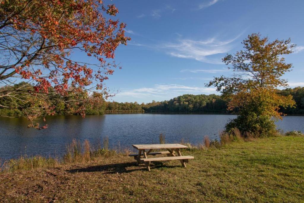 Campsite Wilderness Presidential Spotsylvania